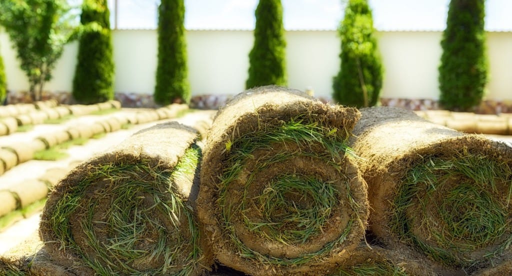 Sod for Delivery in Northern Utah