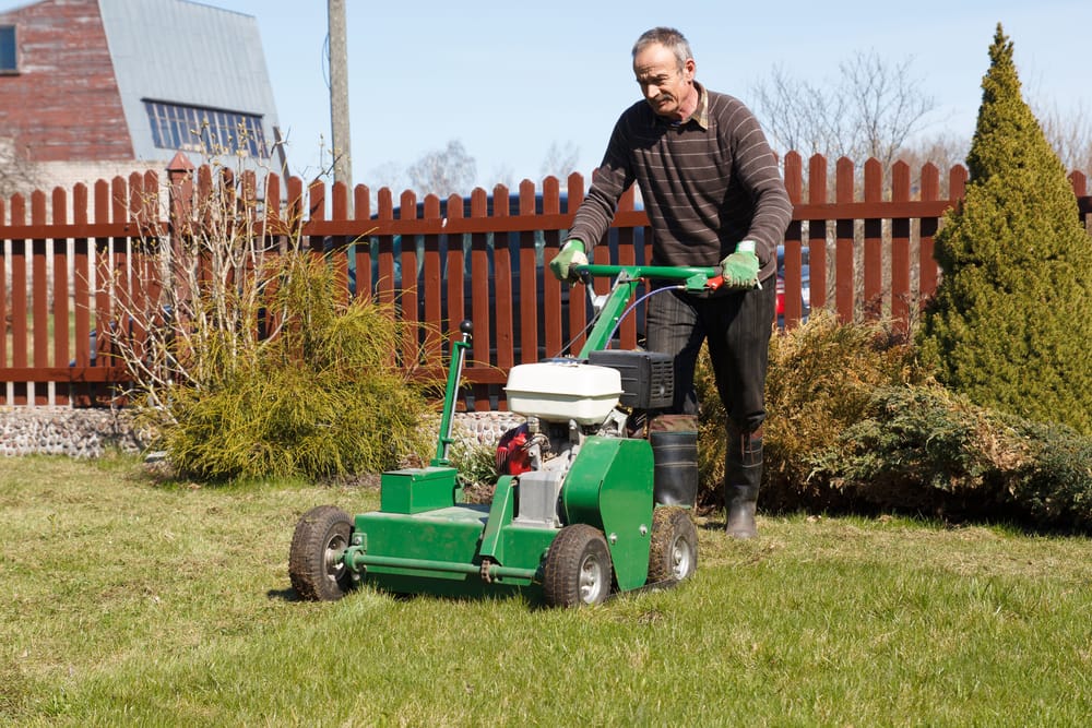 Lawn Aeration