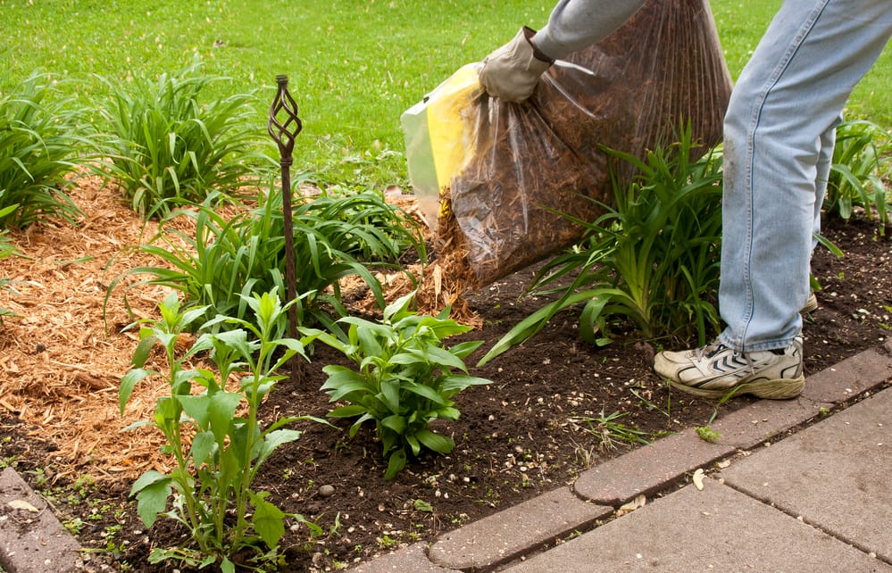 Utah Mulch Guide