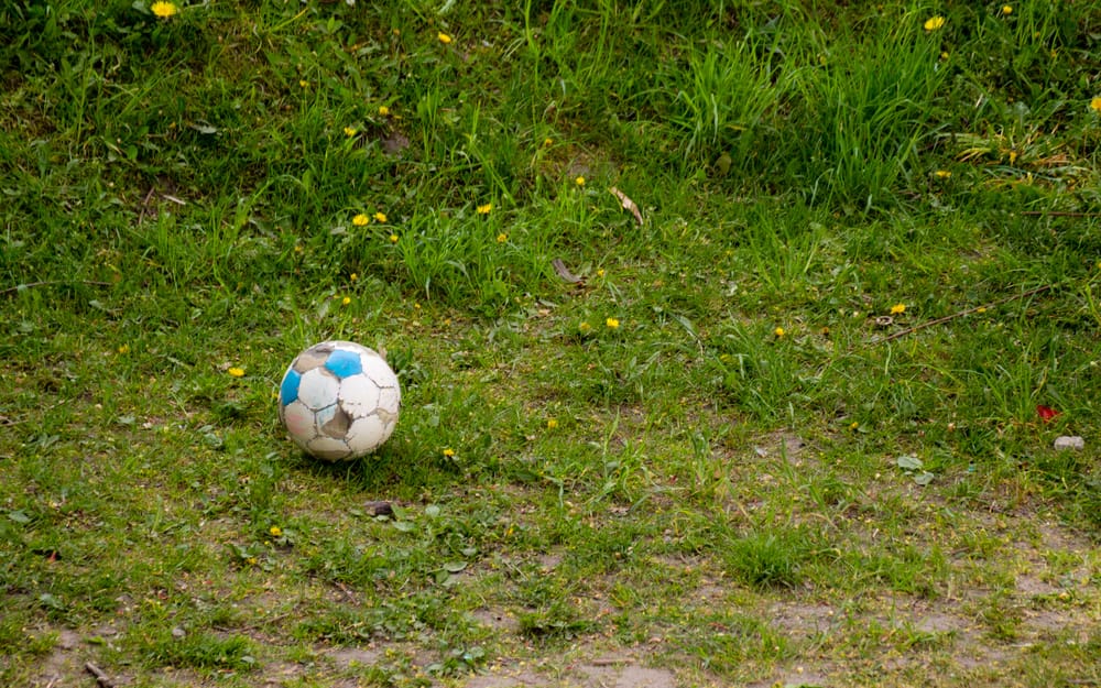 Sod and Fertilizer to Repair Your Damaged Lawn