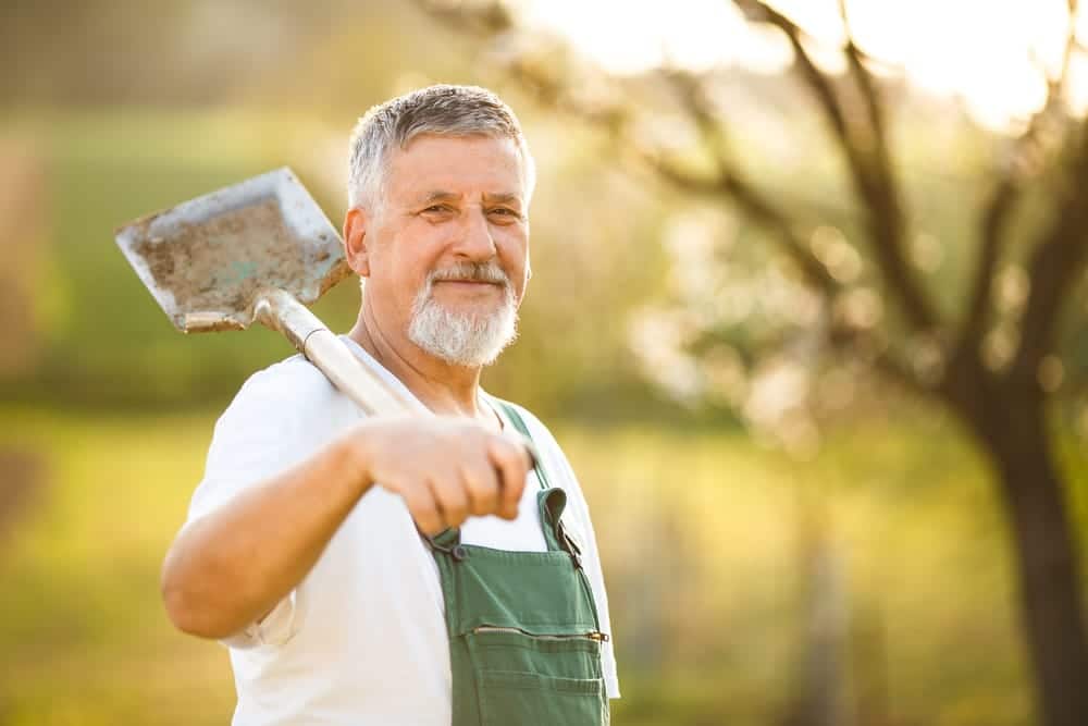 Order Landscaping Materials for Fall Yard Projects