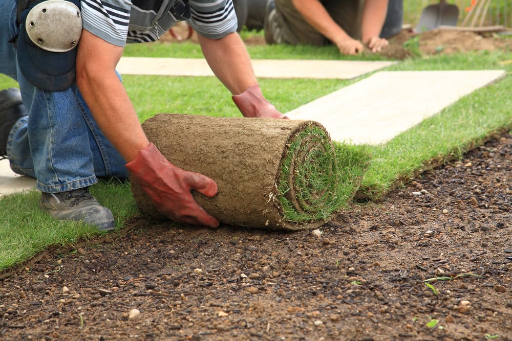 schedule your sod delivery
