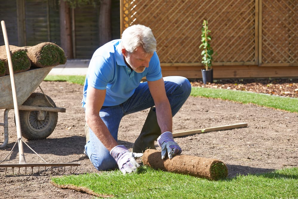 Add Utah&nbsp;Sod to Increase Your Home&rsquo;s Value