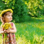 Garden mulch myths debunked