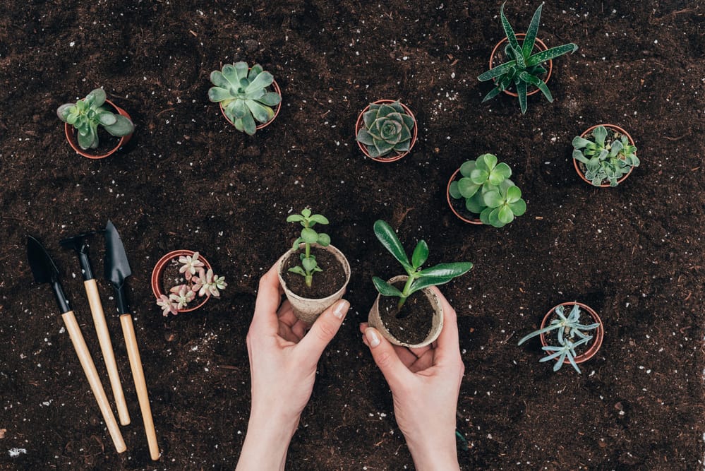 Choosing landscape materials for your Utah gardening