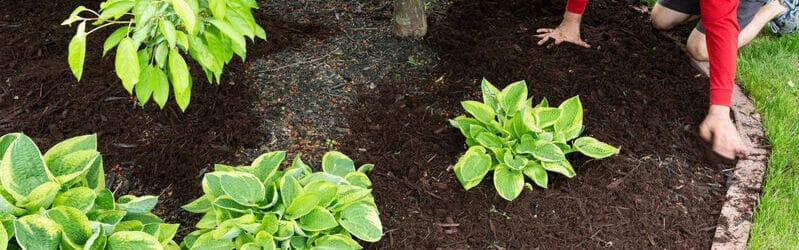 Garden Mulch