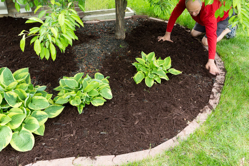 Garden Mulch