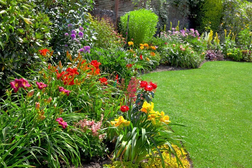 The Dirt Bag Healthy Garden