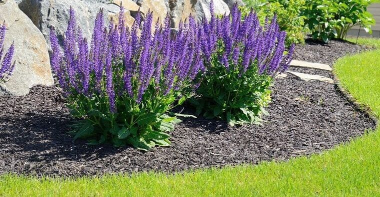 The Dirt Bag The Mulch for your Garden