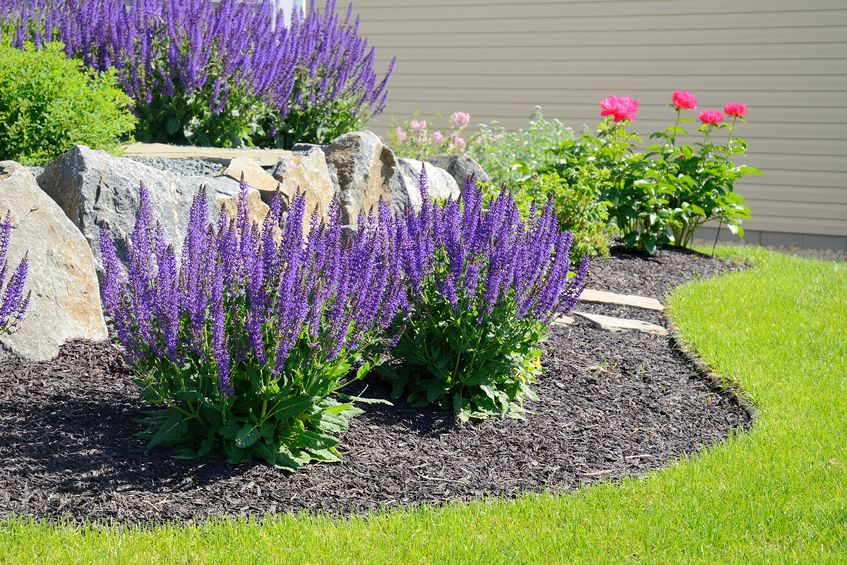 The Dirt Bag The Mulch for your Garden
