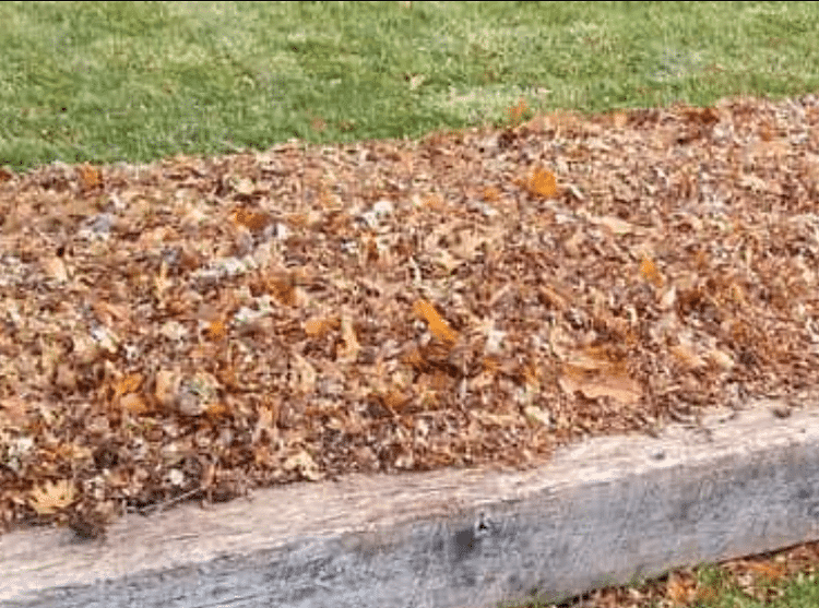Winter Garden Preparation