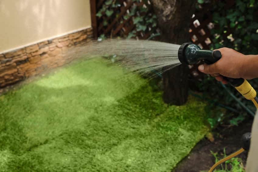 Consider Water Wise Sod