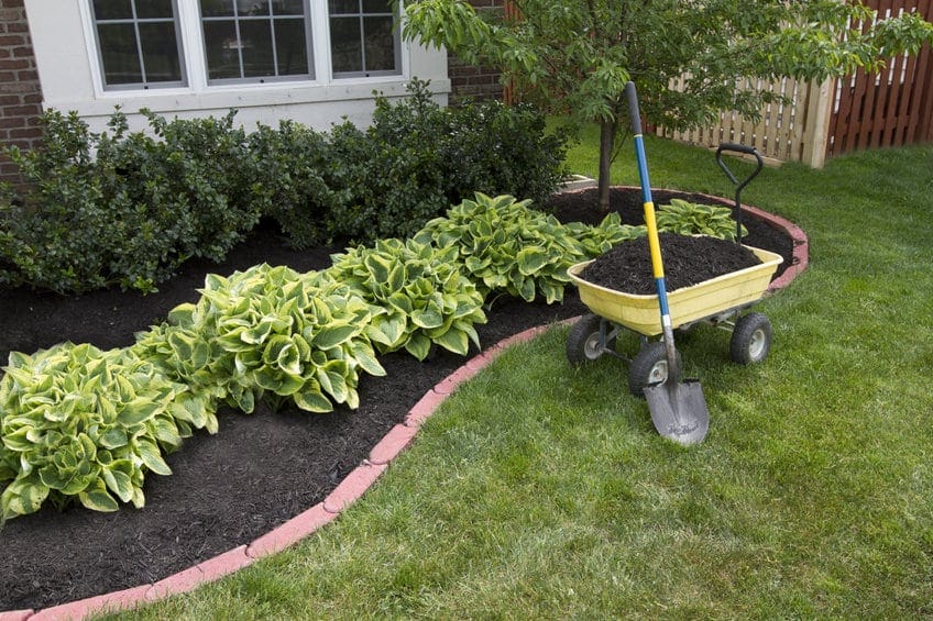 Plant These Beauties in Your Park Strip