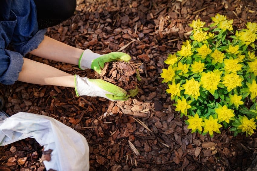 Mulch Magic