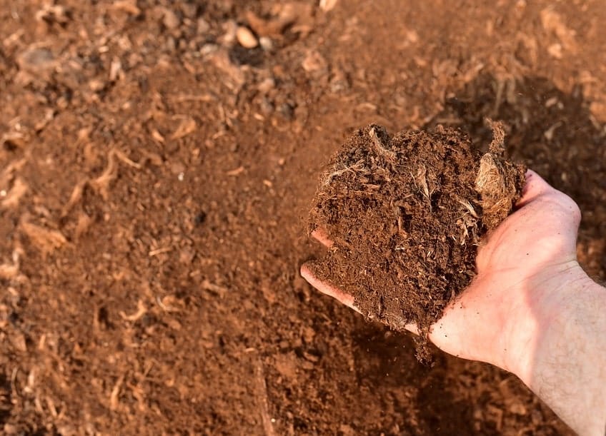 Not All Compost is Created Equal