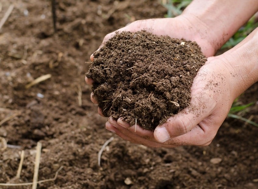 What&rsquo;s Going on with Your Soil?