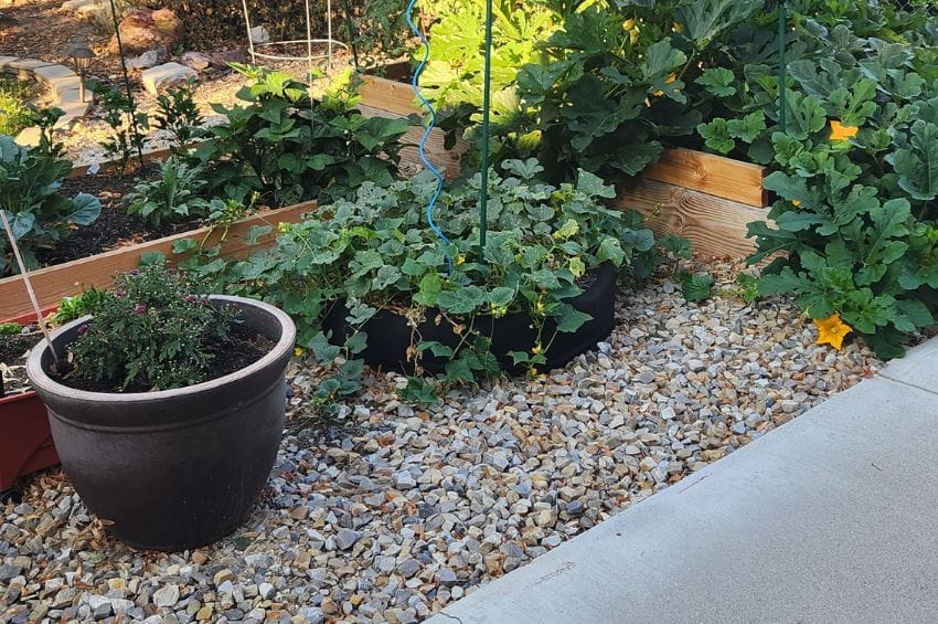 Enhancing Your Outdoor Haven The Benefits of Landscaping Rocks form The Dirt Bag