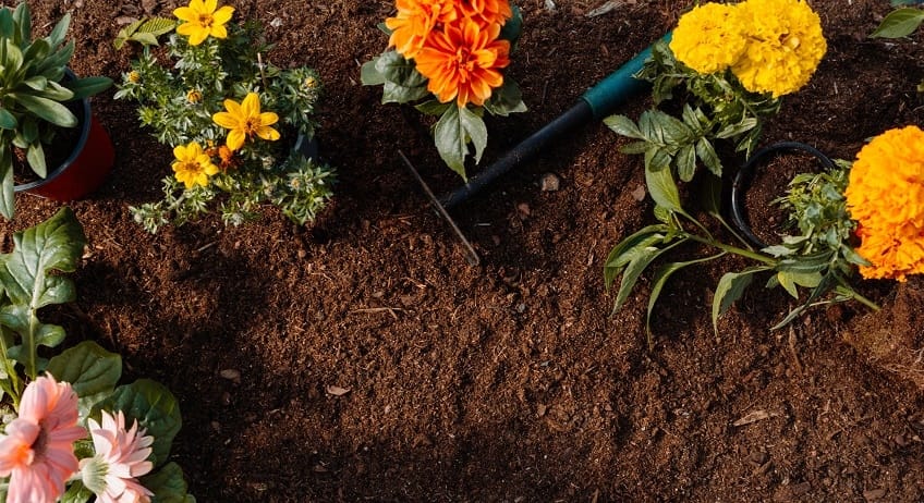 Mulch, Bark, and Topsoil