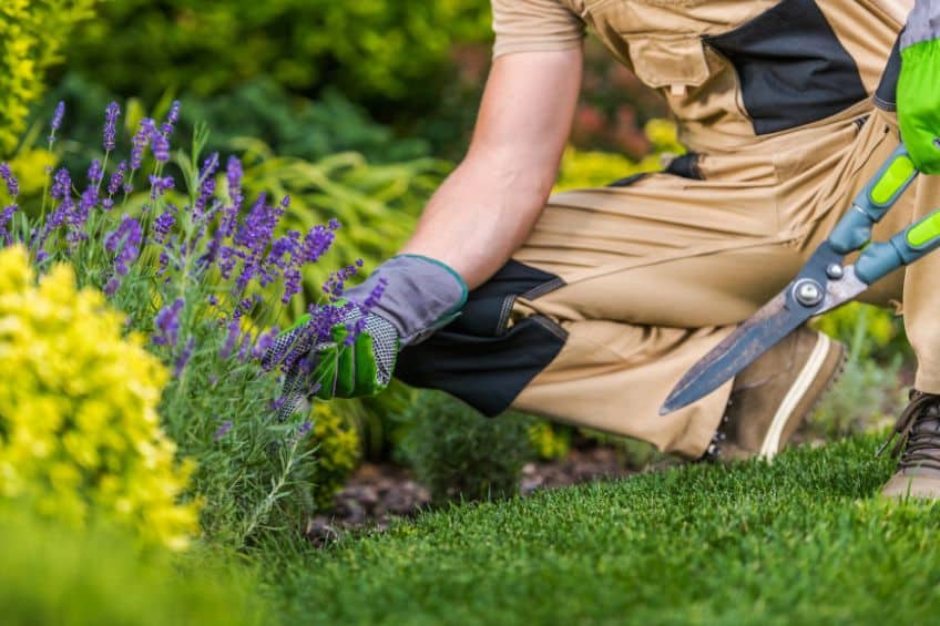 Getting Ready for Spring Gardening in Utah