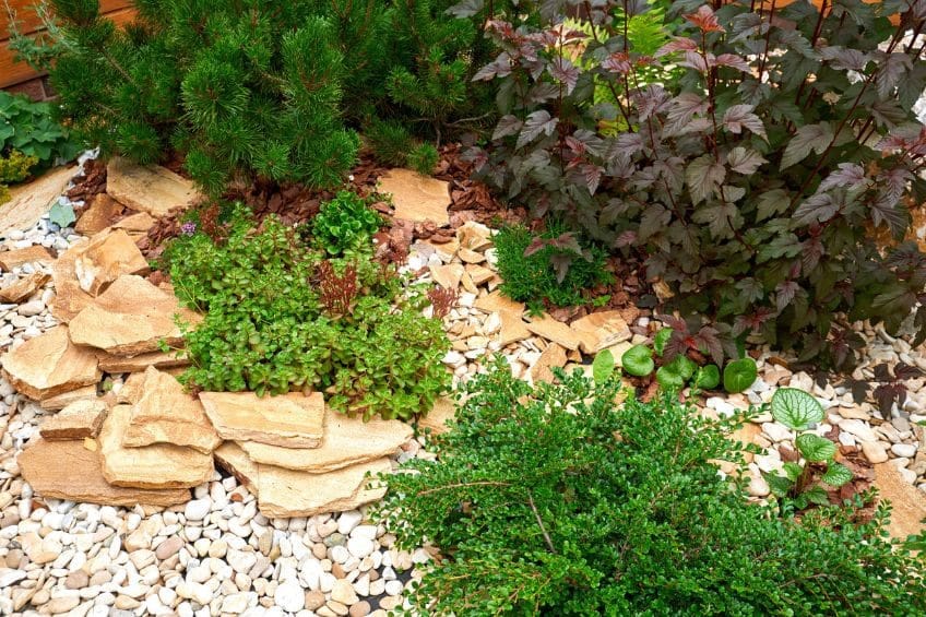 The Lazy Gardeners Guide to a Gorgeous Yard