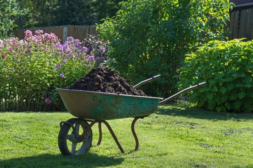 Compost for Lawns? Yes, and Here&rsquo;s How to Do It Right