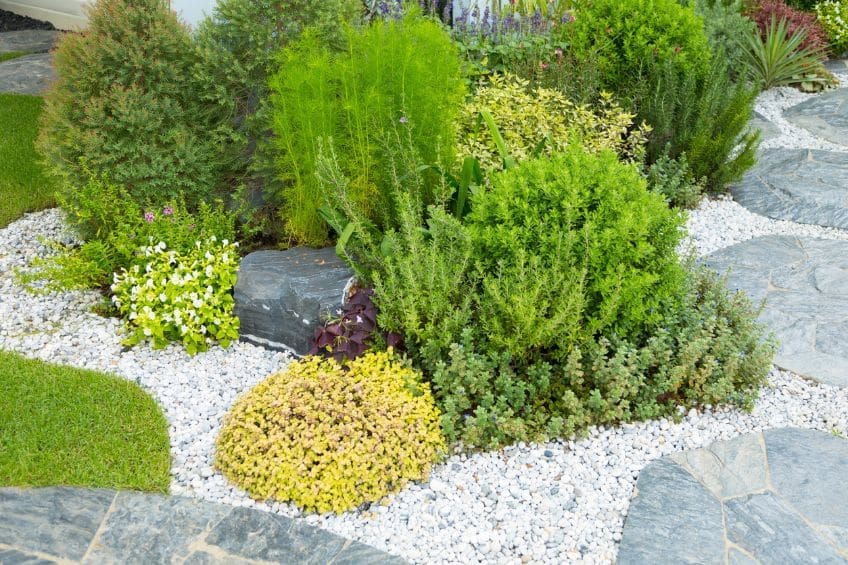 Why Now&rsquo;s the Best Time to Prep Your Xeriscape for Summer