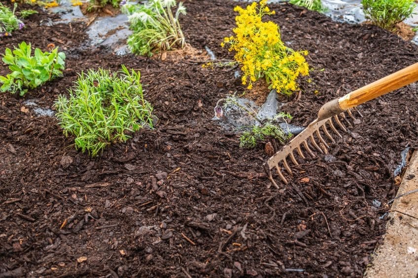 Choosing the Right Bark Mulch: A Guide to The Dirt Bag&rsquo;s Options