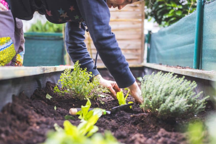 Summer Composting Made Simple with The Dirt Bag&rsquo;s Organic Mountain Compost
