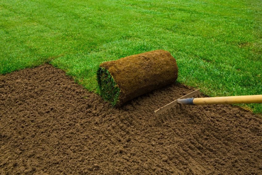 The Secret to Successful Sod: How Screened Topsoil Sets the Stage for a Healthier Lawn