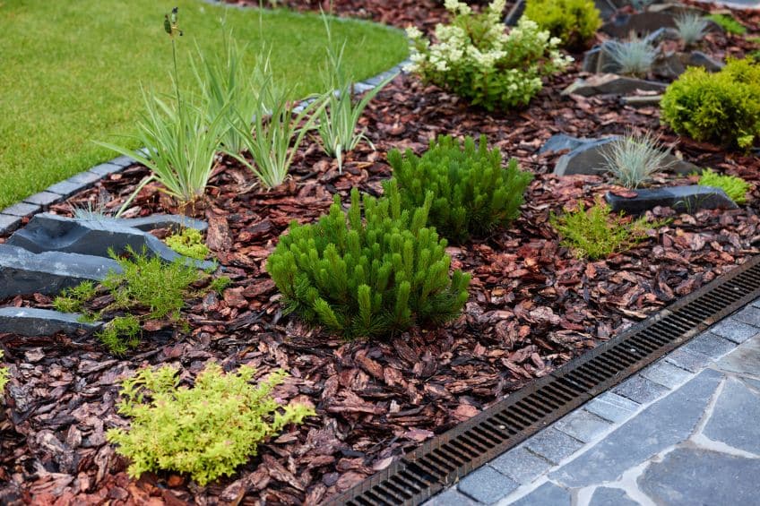 Mulch Like You Mean It How Late Summer Mulching Protects Your Fall Garden