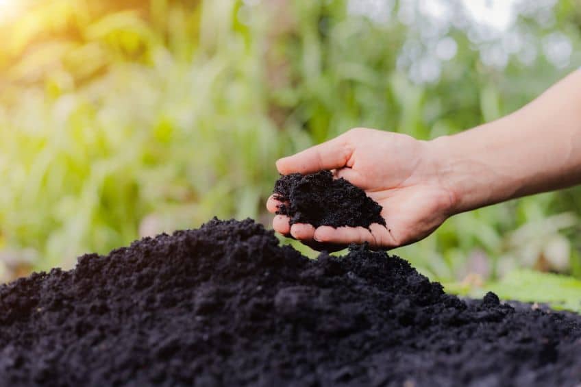 Compost Topdressing, Simplified: Utah&rsquo;s Fall Shortcut to Healthier Lawns and Beds