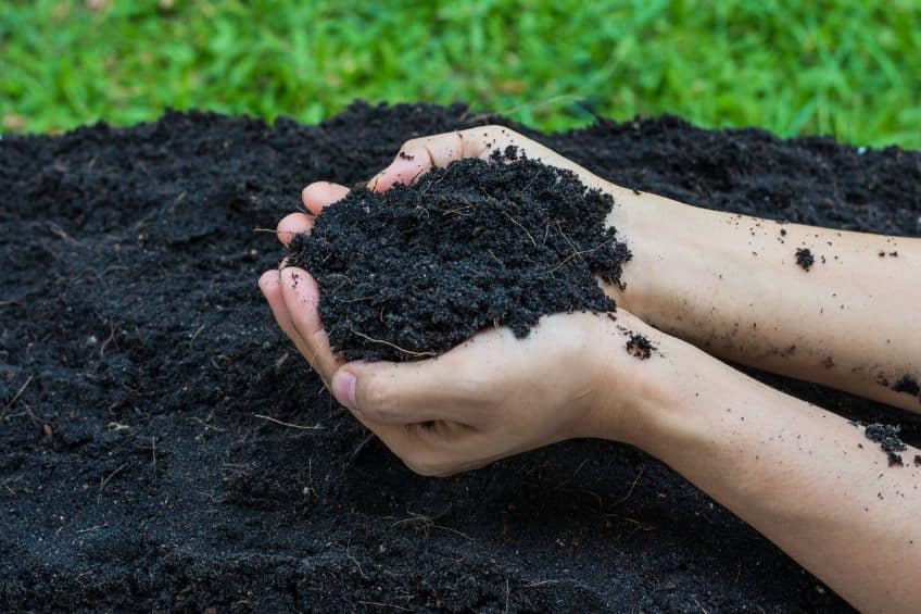 The Hidden Benefits of Winter Composting Giving Your Soil a Head Start for Spring